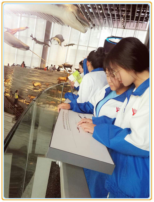 上海关兴教育游学记--上海公安博物馆&上海自然博物馆